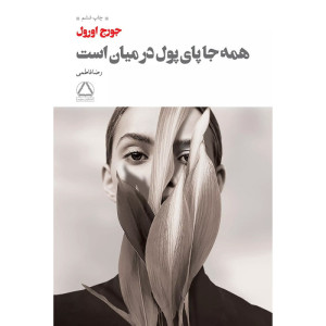 کتاب همه جا پای پول در میان است کتاب همه جا پای پول در میان است