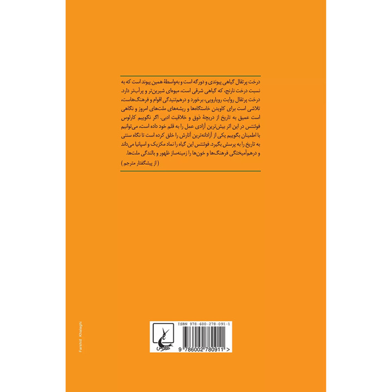 درخت پرتقال درخت پرتقال